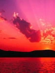 Victoria Lynn Rehrer's picture