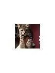 Martha Ann Jennings's picture