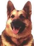 Bruce Edgar Mattea's picture