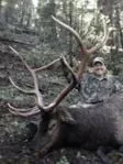 Peter Allen Stanford's picture