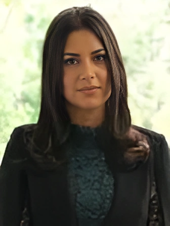 Arghavan P. Di Rezze's picture